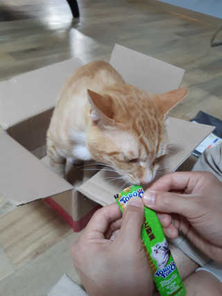 안뇽요님이 올린 리뷰 사진 2