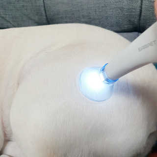 볼빨강한비지님이 올린 리뷰 사진 4