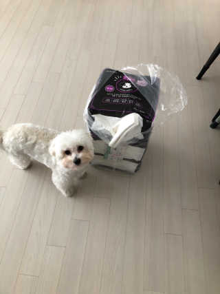 loveyoung님이 올린 리뷰 사진 2