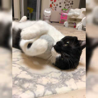 째콩이네님이 올린 리뷰 사진 4