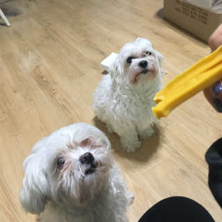 진하님이 올린 리뷰 사진 1