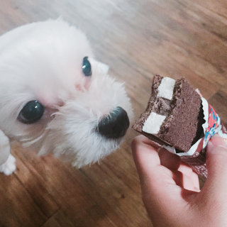 콩콩어멈님이 올린 리뷰 사진 1