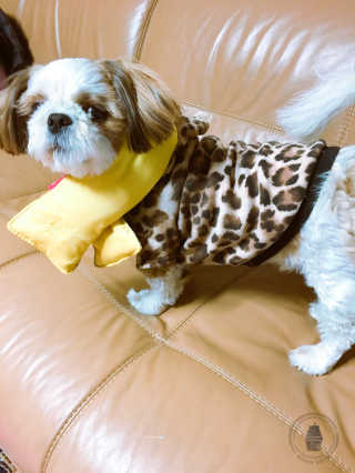 히뚭님이 올린 리뷰 사진 3