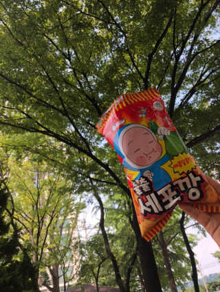 욜로님이 올린 리뷰 사진 1