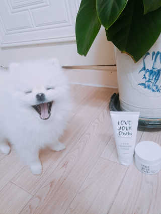 고우리님이 올린 리뷰 사진 1