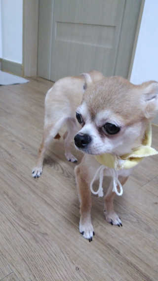 박한솔님이 올린 리뷰 사진 1