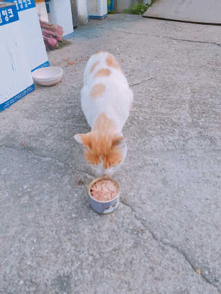 EunsunKim님이 올린 리뷰 사진 1