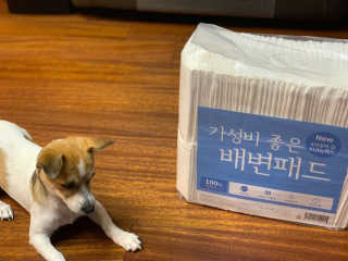 Lily님이 올린 리뷰 사진 2