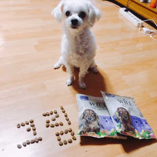 KimEunseo님이 올린 리뷰 사진 2