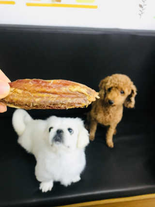 쏭님이 올린 리뷰 사진 1