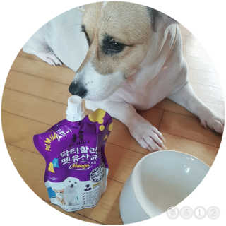 닥터할리펫밀크 8종 — 4.5점을 준 리뷰어가 2019년 6월 올린 사용 사진