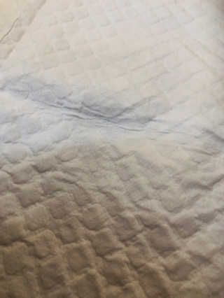 펫토리아 한장뚝딱 NEW 프리미엄 국내산 배변패드 — 5점을 준 리뷰어가 2019년 5월 올린 사용 사진