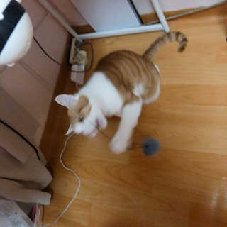 김린님이 올린 리뷰 사진 4