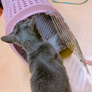 율집사님이 올린 리뷰 사진 1