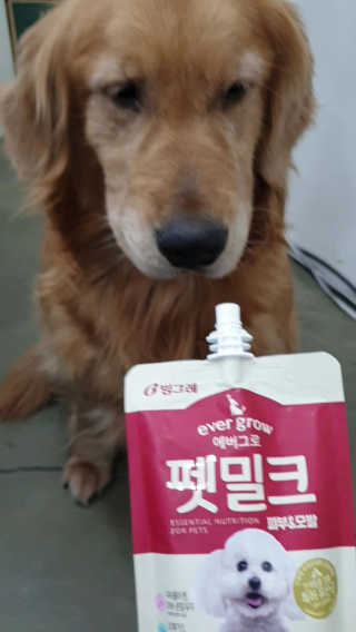 [빙그레] 에버그로 생유산균 1봉（10포입）+펫밀크2팩 — 4점을 준 리뷰어가 2019년 3월 올린 사용 사진