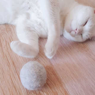 정혜님이 올린 리뷰 사진 1