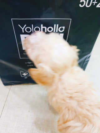 혜림님이 올린 리뷰 사진 2