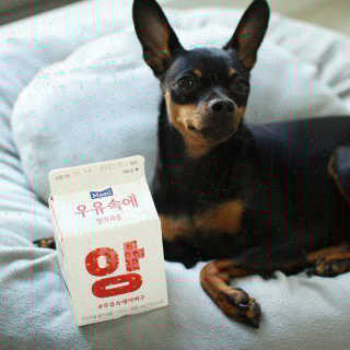 돌돌팝님이 올린 리뷰 사진 3