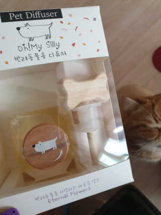 리뷰쓰는언니님이 올린 리뷰 사진 3