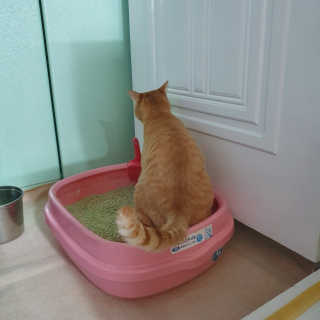 윤윤커플님이 올린 리뷰 사진 1