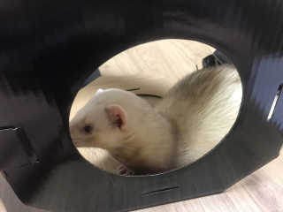 주진님이 올린 리뷰 사진 2