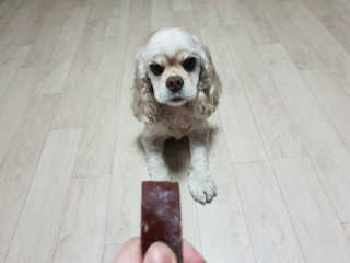 SohyeonLee님이 올린 리뷰 사진 2