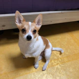 김태선님이 올린 리뷰 사진 2