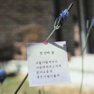 loveleekm님이 올린 리뷰 사진 1