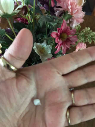 FruGal님이 올린 리뷰 사진 2