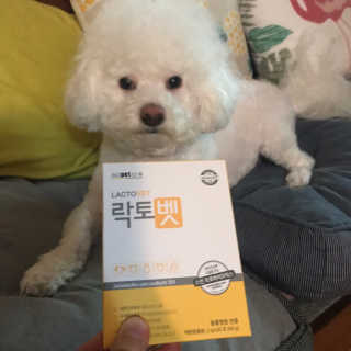 유산균하우스 [프로바이오닉]락토벳 — 4점을 준 리뷰어가 2019년 2월 올린 사용 사진