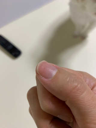 반짝님이 올린 리뷰 사진 2