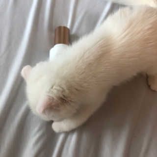 kittyiris님이 올린 리뷰 사진 2