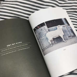 이한림님이 올린 리뷰 사진 4