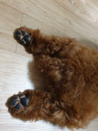 포뇨님이 올린 리뷰 사진 2