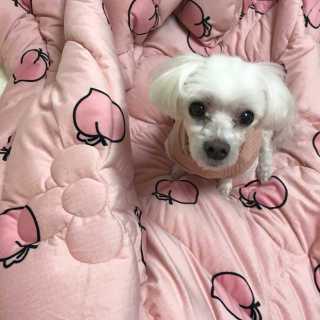 vivian님이 올린 리뷰 사진 3