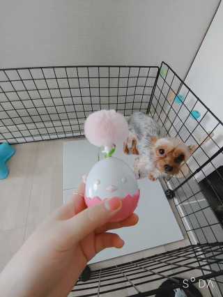 이령아님이 올린 리뷰 사진 1