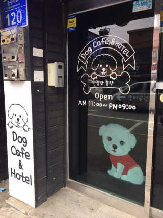 삥이님이 올린 리뷰 사진 2