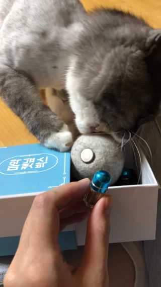 berryjjung님이 올린 리뷰 사진 4