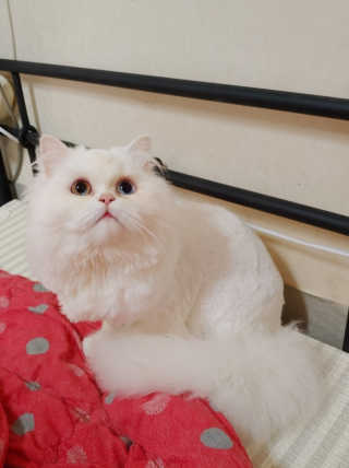 boggybok님이 올린 리뷰 사진 4