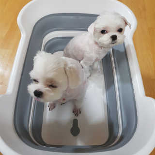 김혜원님이 올린 리뷰 사진 3
