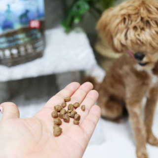 은찡님이 올린 리뷰 사진 2