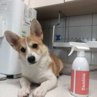 초아시우맘님이 올린 리뷰 사진 3