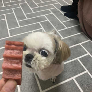 꾸웅다인님이 올린 리뷰 사진 2