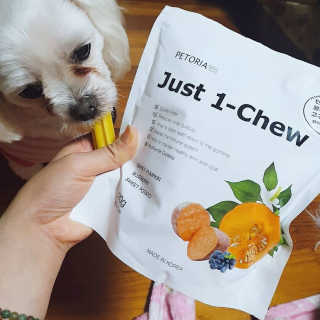 [펫토리아] 한입뚝딱 혼합 덴탈츄 Just 1-Chew — 5점을 준 리뷰어가 2020년 2월 올린 사용 사진