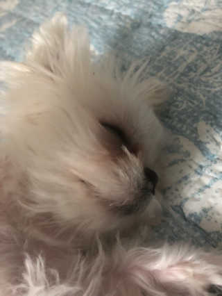 이현님이 올린 리뷰 사진 2