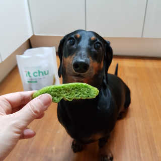 몽이뚜님이 올린 리뷰 사진 2