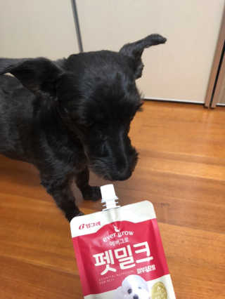 [빙그레] 에버그로 생유산균 1봉（10포입）+펫밀크2팩 — 4점을 준 리뷰어가 2019년 5월 올린 사용 사진