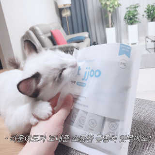 라움이님이 올린 리뷰 사진 3
