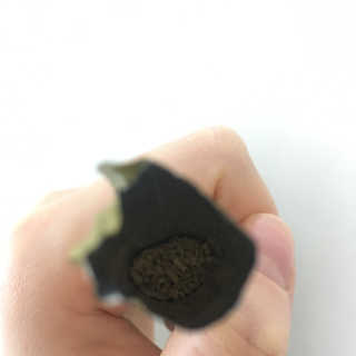 타임인네이처 [time in nature] 바른정 30포 — 4.5점을 준 리뷰어가 2019년 4월 올린 사용 사진