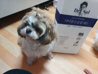 JihyejihyeNam님이 올린 리뷰 사진 3